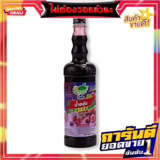 ติ่งฟง น้ำสควอช องุ่น 760 มล. x 12 ขวด Ding Fong Grape Squash 760 ml x 12 Bottles