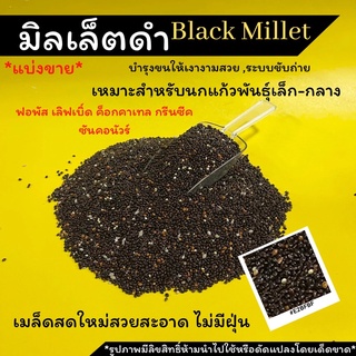 พร้อมส่ง!!มิลเล็ตดำBlack Millet ธัญพืชสำหรับนกที่มีคาร์โบไฮเดรตสูง แบ่งจำหน่าย 500 กรัมและ1กิโล