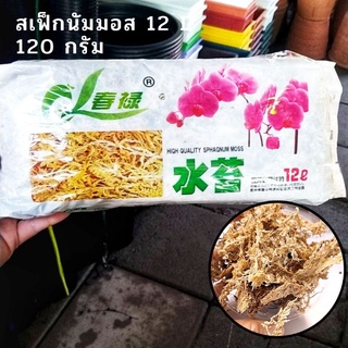 สเฟ็กนัมมอส 12 L 120 กรัม Sphagnum moss ให้ความชื้น เพาะไข่ ชำไม้