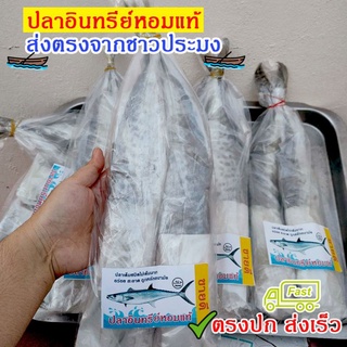 ปลาอินทรีย์หอมแท้ แพ็คละ2ตัว 500ก. สูตรไม่เค็มมาก สะอาด