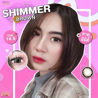 💫Wink : Shimmer Size L ตาโต แบ๊ว สายตาปกติ -10.00
