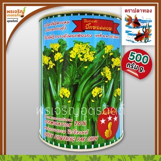 เมล็ดพันธุ์ ผักกาดกวางตุ้ง กวางตุ้งดอกฮ่องกง บิ๊กยอดดอย (500 กรัม) เมล็ดคัดพิเศษ ต้นอวบ เมล็ดพันธุ์ผักสวนครัว ตราปลาทอง