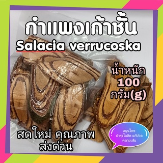 กำแพง9ชั้น สมุนไพรไทยโบราณ สมุนไพรพื้นบ้าน สมุนไพรดองยา สมุนไพรหายาก น้ำหนัก 100 กรัม อย่างดี สดใหม่