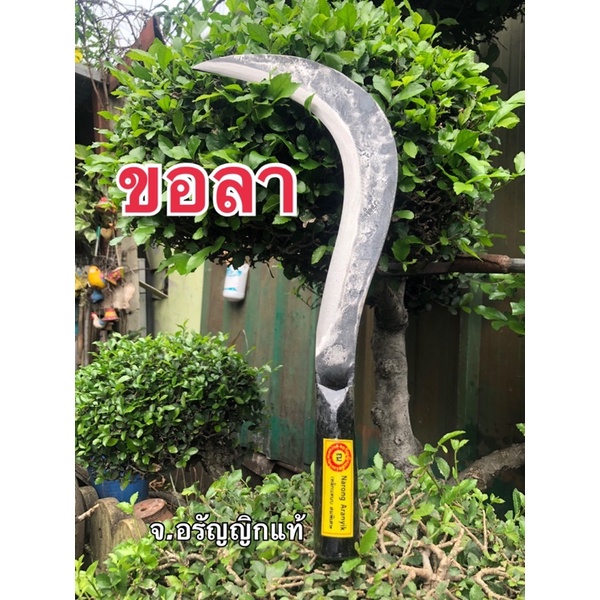 ขอลา มีดพร้า ด้ามห่อ ต่อด้ามยาวได้ ถางหญ้า กระชากกิ่ง มีดอรัญญิก เหล็กแหนบ จ้อย อรัญญิกแท้