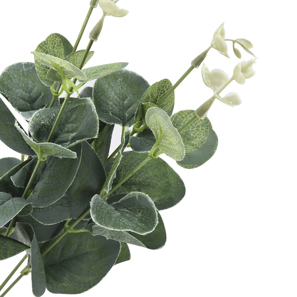 ตกแต่งบ้านสีเขียวใบป