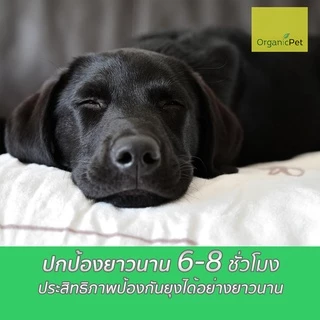สเปรย์กันยุง สัตว์เลี้ยง ตะไคร้หอม สกัดจากธรรมชาติ ออร์แกนิก (ปลอดภัยกับเด็กและสัตว์เลี้ยง) 120ml