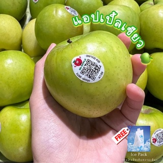 แอปเปิ้ลเขียว (1ลูก) Green Apple (CHN) +++ แถม FREE ถุงน้ําแข็งเก็บความเย็น +++ ผลไม้นำเข้า ผลไม้สด พรีเมี่ยม แอปเปิ้ล