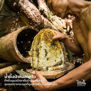 ไร่รื่นรมย์ น้ำผึ้งโพรงป่า 5 รสชาติ 5 สไตล์