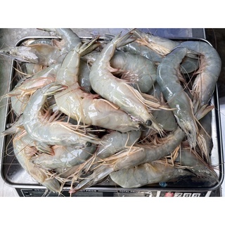 กุ้งแชบ๊วยขนาดใหญ่ ต่อโลถูกที่สุด อวนลอย/อวนลาก ไม่บวกเพิ่ม จากเรือโดยตรง