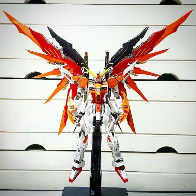 Destiny Heine Momoko