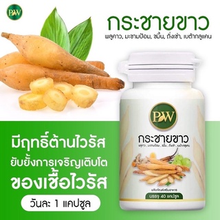 กระชายขาว พลูคาว 10กระปุก 550บาทส่งฟรี