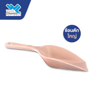 ช้อนตัก ขนาด ใหญ่ (Spoon)