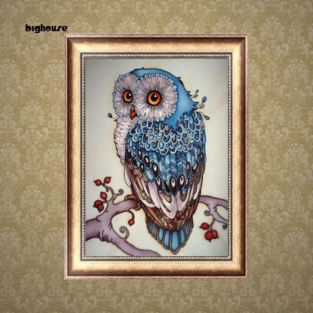 Bighouse Fashion Craft Decor Owl Animal Cross Stitch Embroidery 5d Diamond Home Decor Shopee Thailand