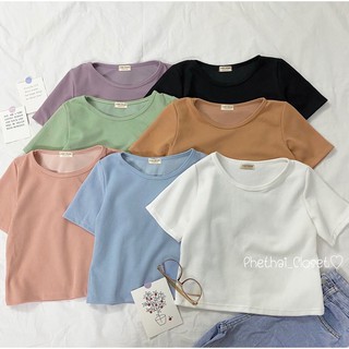 แหล่งขายและราคา💜🤍Crop top เสื้อยืดครอปสีพื้นคลาสสิค🤍💜อาจถูกใจคุณ