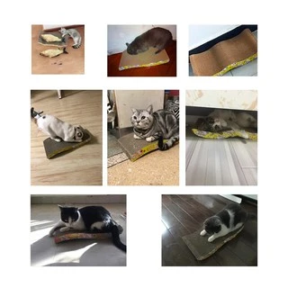 FurryCuddle พร้อมส่ง โซฟาที่ลับเล็บแมว ที่ฝนเล็บแมว ที่ลับเล็บแมว ของเล่นน้องแมว แถมฟรี! แคทนิป COD ST046