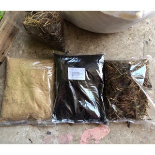 แกลบดำ รำข้าว ปุ๋ยขี้วัว ขายส่ง 9฿ แกลบดิบ ถูกสุดๆ ดินพร้อมปลูก (Rice Husk Ash) ปุ๋ยไส้เดือน ปุ๋ยอินทรีย์ ถ้ำค้างคาว