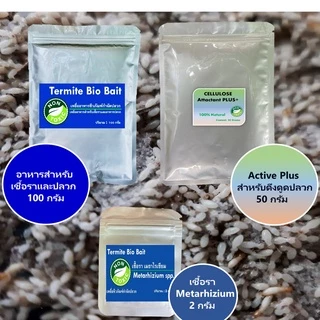 Termite Bio Bait ชุดแบบเติมเหยื่อเชื้อรากำจัดปลวก Set B อาหารปลวก กำจัดปลวกตายยกรัง