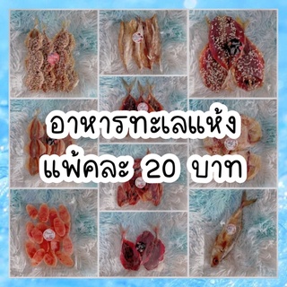 ปลาหมึกแห้ง อาหารทะเลแห้ง ขนาดคุ้มค่า ราคาประหยัด
