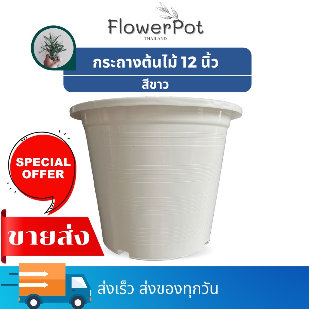 (10 ใบ) กระถางพลาสติก 12 นิ้ว สีขาว