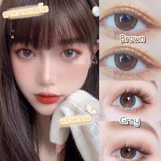 💟บิ๊กอายตาโต💟 seeshell brown , gray ผลิตและนำเข้าจากประเทศเกาหลี 🇰🇷