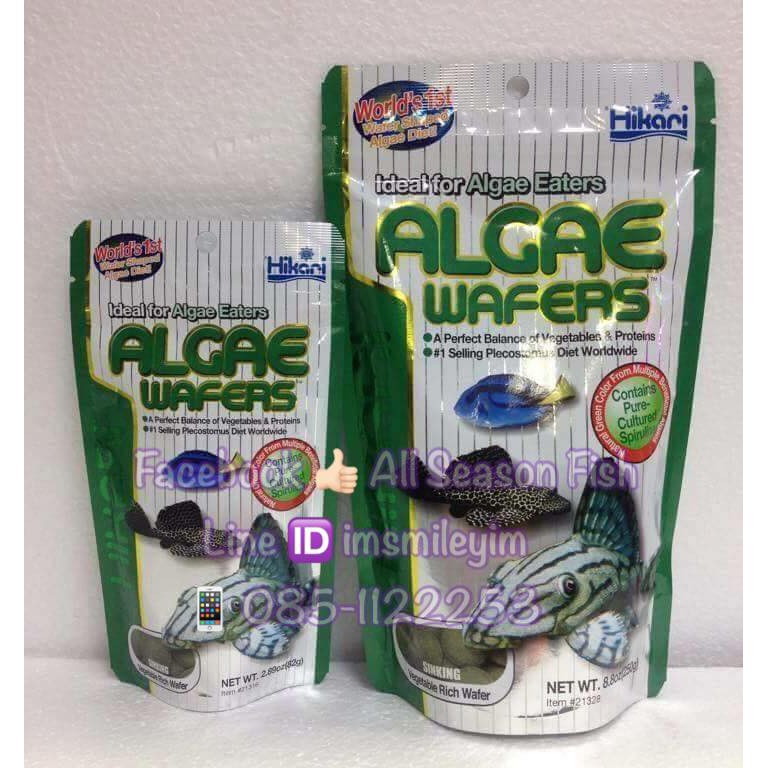 HIKARI > Tropical Algae Wafers (ซัคเกอร์เขียว) ชนิดจมน้ำ WC