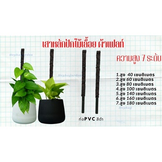 เสาหลักสำหรับปักต้นไม้เลื้อย ไม้เกาะผ้าเฟลท์ Flora feltท่อ PVCสีดำ 4หุน(1/2นิ้ว)