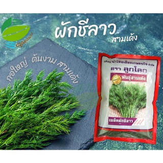 ชีลาว สามเด้ง 500 กรัม (Dill)