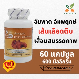 เห็ดหลินจือ Reishi Mushroom ขนาด 600 มิลลิกรัม 60 แคปซูล ตราบลูเบิร์ด Bluebird