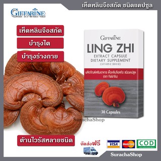 เห็ดหลินจือสกัด *ส่งฟรี* **โปรทักแชท** ผลิตภัณฑ์เสริมอาหาร ชนิดแคปซูล ตรา กิฟฟารีน 30 แคปซูล : Giffarine Ling Zhi