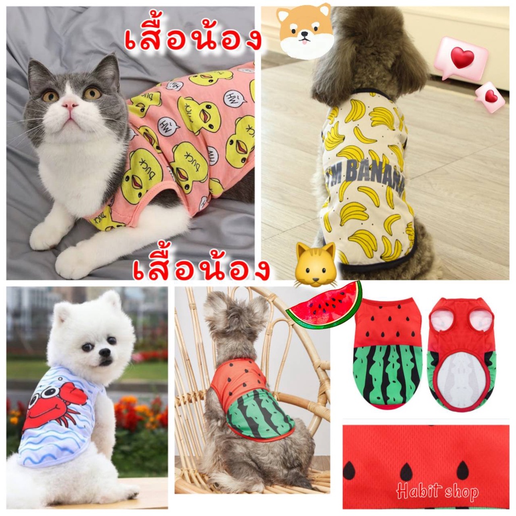 พร้อมส่ง เสื้อสุนัข เสื้อแมว รุ่นผ้าระบายอากาศ เสื้อสัตว์เลี้ยง
