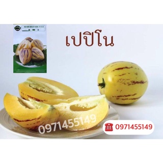 เมล็ดเปปิโน เมล่อน(Pepino Melon) /เมล่อน