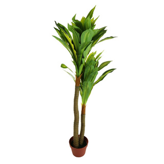 ✨อย่างดี✨ ต้นวาสนาประดิษฐ์  120 ซม. ARTIFICIAL DRACAENA SPRING 120CM สินค้าคุณภาพสูง