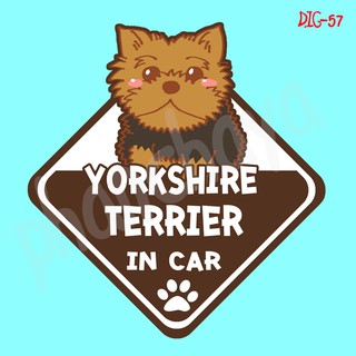 DIC57 สติ๊กเกอร์ ติดรถ Yorkshire Terrier Dog In Car สติ๊กเกอร์ติดรถ car sticker