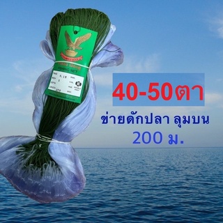 ข่ายดักปลา ลุมบนไม่ติดตะกั่ว 200เมตรลึก40ตา