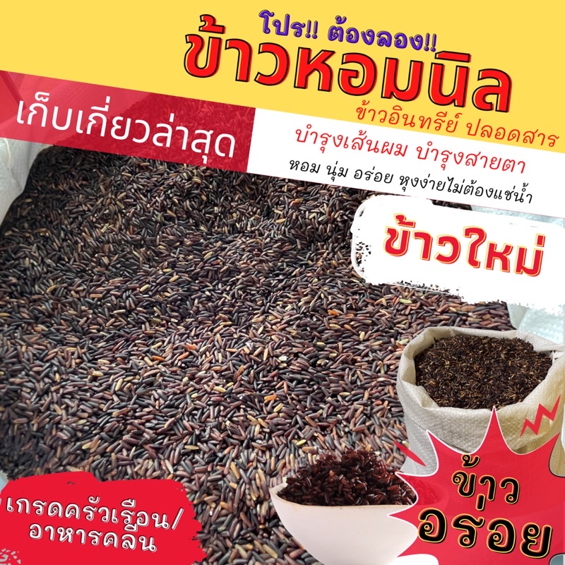ข้าวหอมนิล ข้าวนิล อินทรีย์ ล่าสุด หอมอร่อย แพ็คสุญญากาศ 1 กก. โปรต้องลอง!