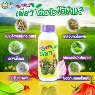 ซุปเปอร์เพียว 1 ขวด เพิ่มผลผลิต ลดปุ๋ย (วัคซีนพืช+วิตามิน) ปุ๋ยอินทรีย์ วัคซีนพืช#ปุ๋ยผลไม้