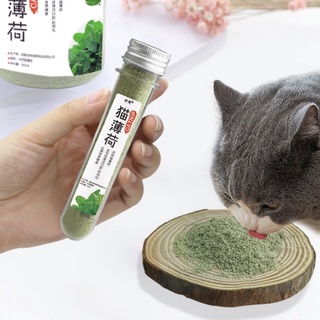 🐶พร้อมส่ง🐶 Catnip กัญชาแมว ต้นกัญชาแมว อาหารแมว ขนมแมว แคทนิป