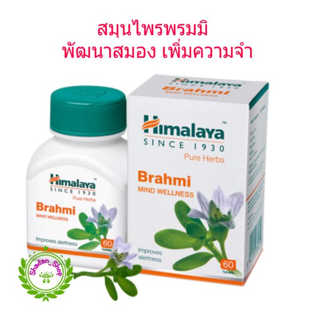 Himalaya Brahmi พรมมิ พัฒนาสมองเพิ่มความจำ