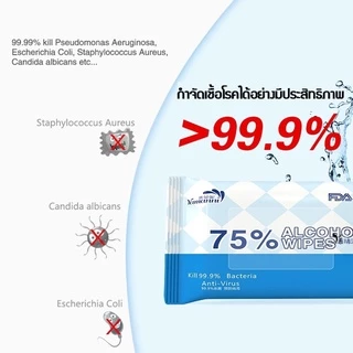 ทิชชู่เปียกแอลกอฮอล์ กระดาษเปียก ทิชชู่แอลกอฮอล์ ผ้าเช็ดทำความสะอาดผสมแอลกอฮอล์ 75% พกพาสะดวก 1แพ็ค มี10ชิ้น
