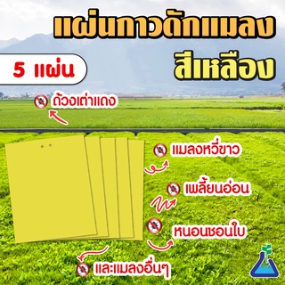 แผ่นกาวดักแมลง (สีเหลือง) ขนาด 20 x 25 เซนติเมตร จำนวน 5 แผ่น Yellow Sticky Trap 20 x 25 cms 5 pcs