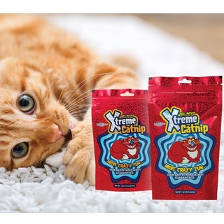 Xtreme Catnip แคทนิปผง 2ขนาด Synergylab. 14.2ก.และ28.4ก. (ของเล่นแมว หญ้าแมว กัญชาแมว )