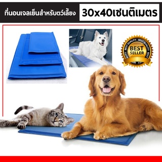 ที่นอนเจลเย็น สัตว์เลี้ยง แผ่นเจลเย็น Pet Cool mat ระบายความร้อนได้ดี มี4ขนาด