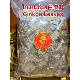 ใบแปะก๋วย白東叶 Ginkgo Leavesแปะก๋วยเฮียะ ใบแป๊ะก้วย ใบแปะก๋วย