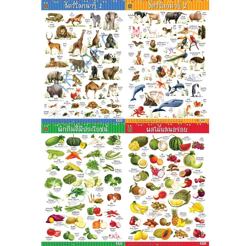 Aksara for kids โปสเตอร์ หุ้มพลาสติก สัตว์ ผัก ผลไม้ ก.ไก่ ABC สี ตัวเลข ฯลฯ คละ thumbnail 4