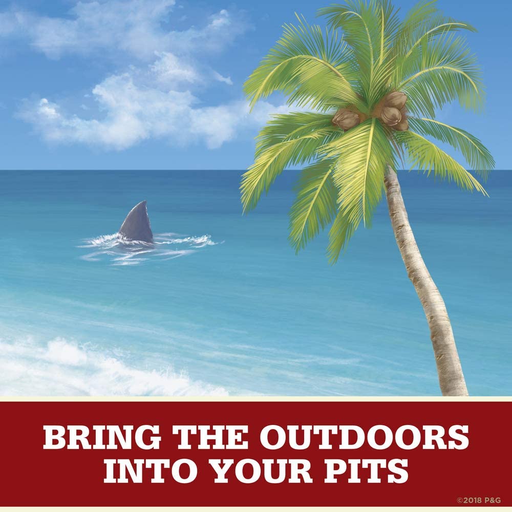 โรลออน Old Spice กลิ่น FIJI