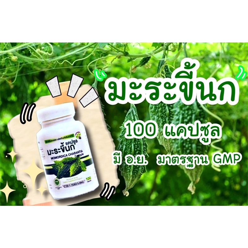 มะระขี้นก 100 แคปซูล มี อย. มาตรฐาน GMP สินค้ามีพร้อมส่ง
