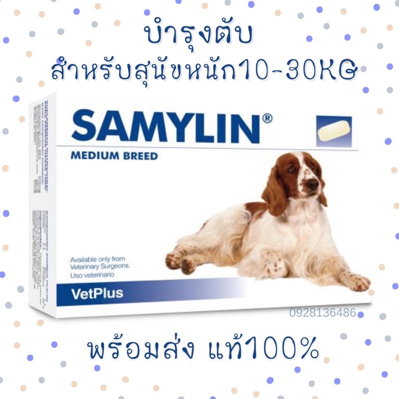 (พร้อมส่ง) Samylin Medium Breed บำรุงตับ สำหรับสุนัขน้ำหนัก 10-30kg ชนิดเม็ด Exp.08/2024