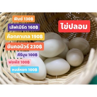 ไข่ปลอมนกหงส์หยก5ใบ100บาท🐣🐣