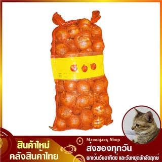 หอมใหญ่ 10 กิโลกรัม หัวหอมใหญ่ Onion หัวหอม หอม ผัก