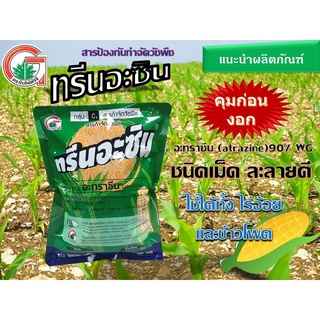 ทรีนอะซิน หรือ อะทราซีน (atrazine) 90% WG ยาคุมหญ้า ชนิดเม็ด ละลายน้ำดี ใช้ในไร่อ้อย ข้าวโพด ใช้คู่กับนิโคได้